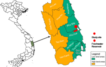 Đánh giá tiềm năng phát triển của Quy Nhơn